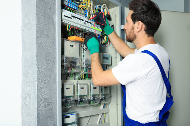 Best Electrical Repair Services  in Cohoe, AK